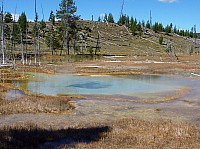 Yellowstone Old faithfull et ses environs (166).JPG